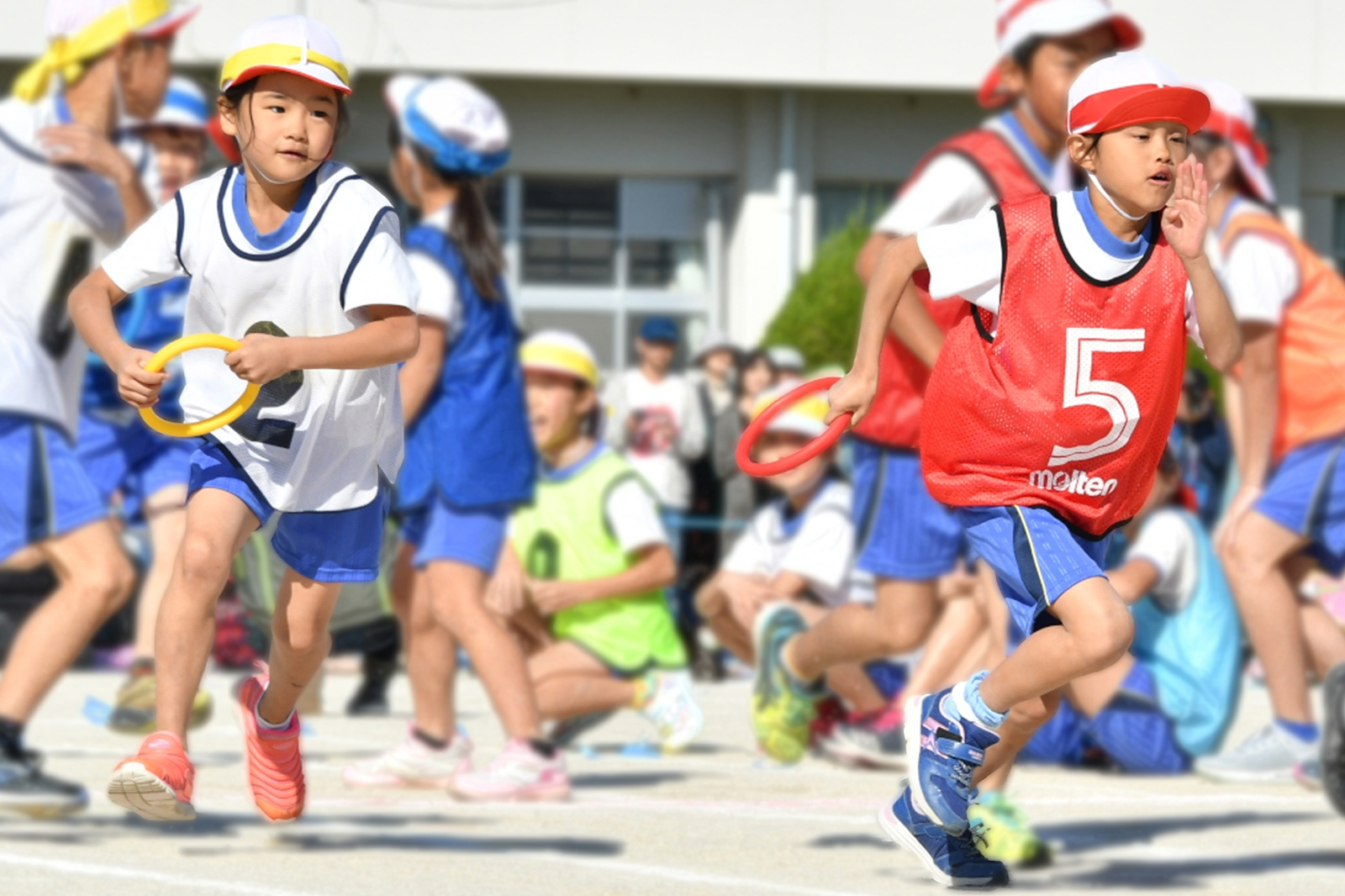 サンプル画像_0