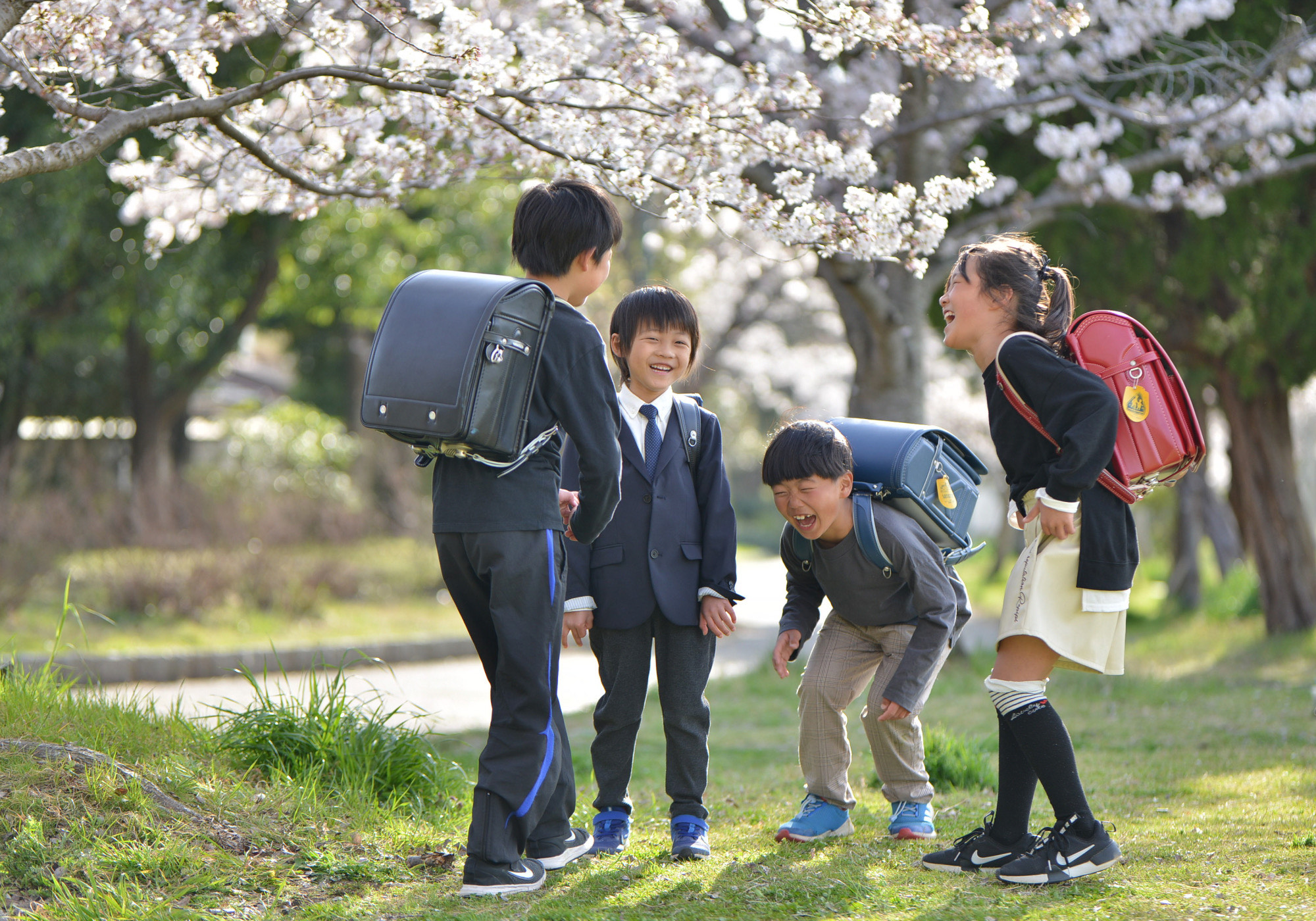 サンプル画像_2