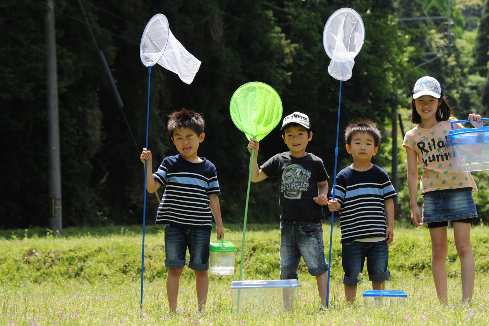 サンプル画像_4