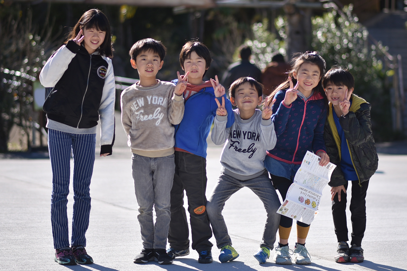 サンプル画像_5